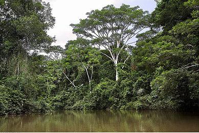 《德军总部》开发商发布周年庆海报 暗示新作即将公布